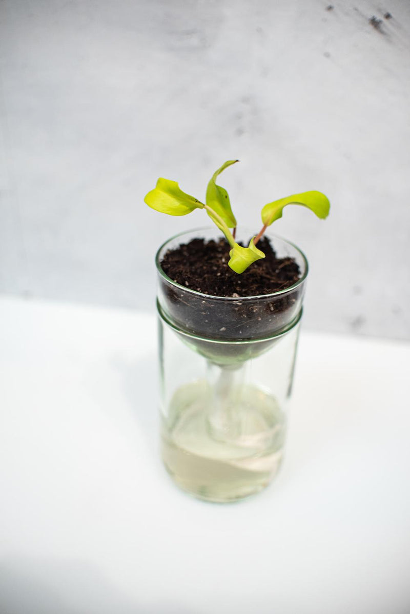 Recycled Glass Planter