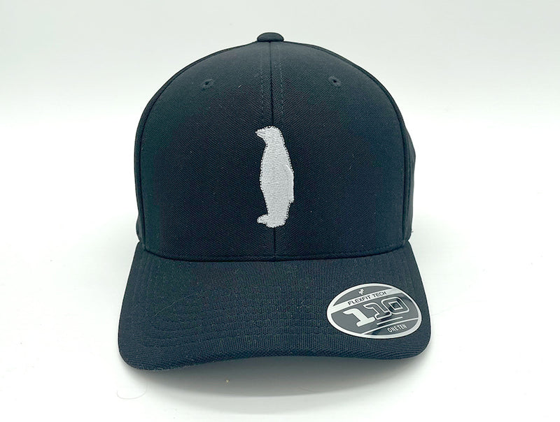21c Baseball Hat