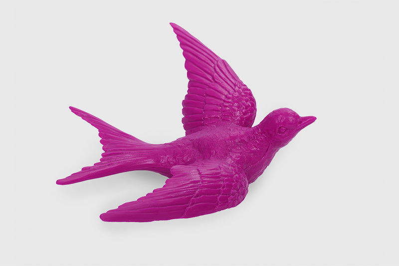 Swallow