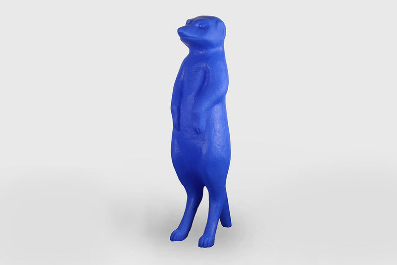 Meerkat