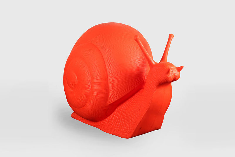 Snail