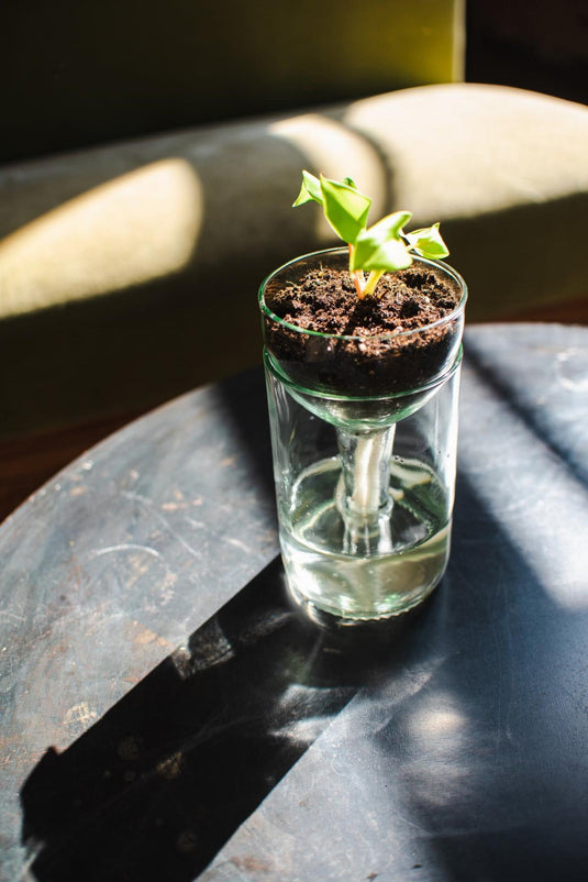 Recycled Glass Planter