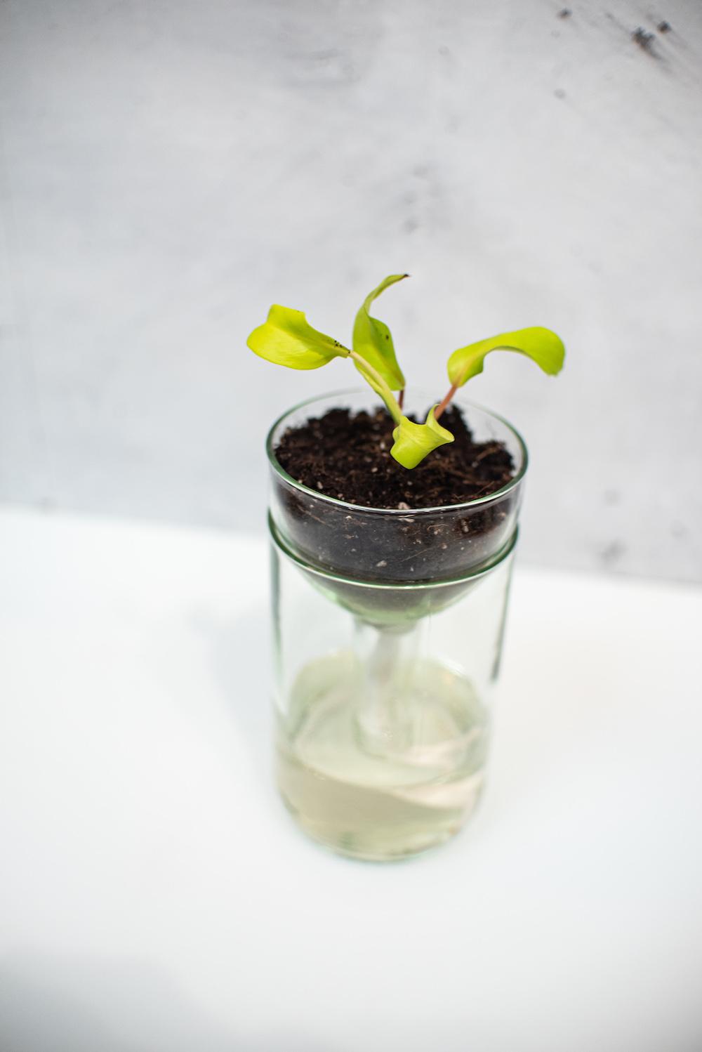 glass plant pot Recycled Glass Planter – 21c Shop